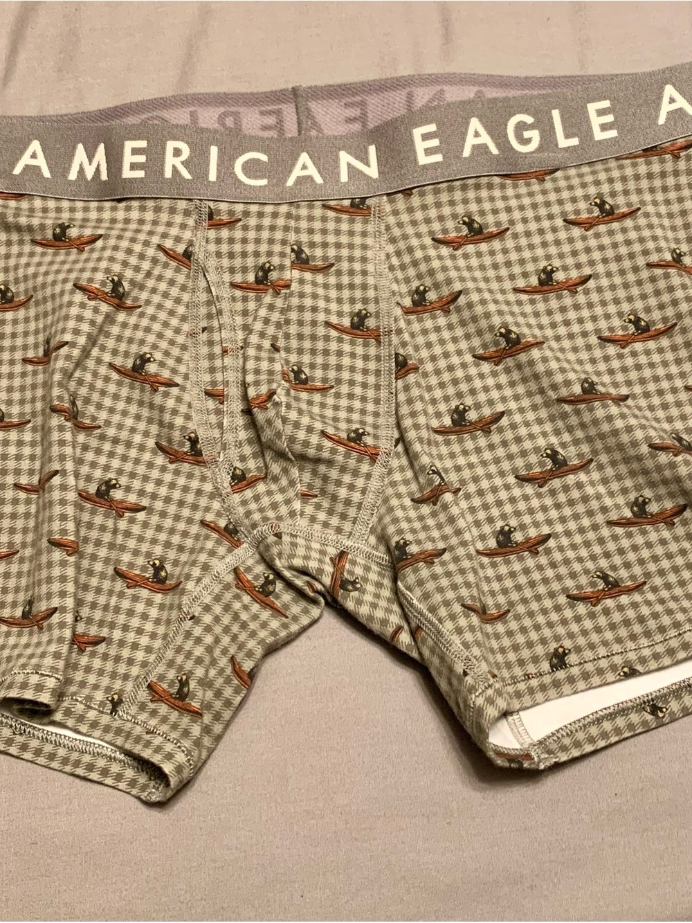 American Eagle Outfitters Olive Houndstooth Boxer Briefs with Canoe Print